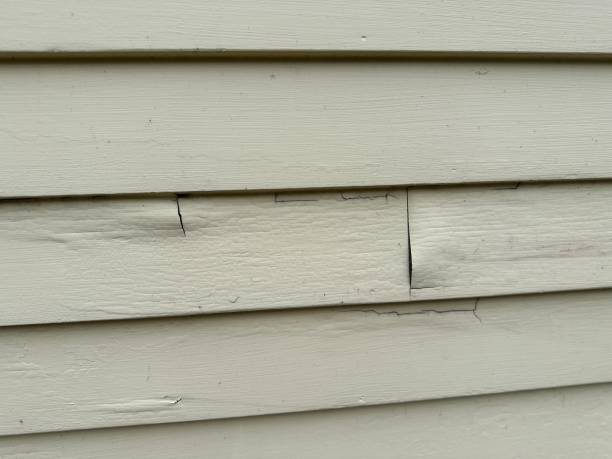 Best Vinyl Siding Installation  in Wanamassa, NJ